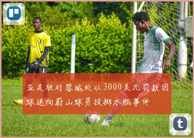 亚足联对蓉城处以3000美元罚款因球迷向蔚山球员投掷水瓶事件