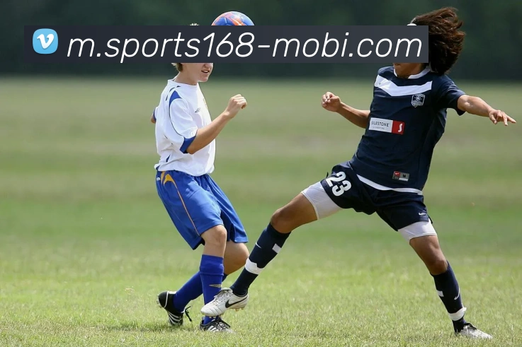 168体育APP 封面图